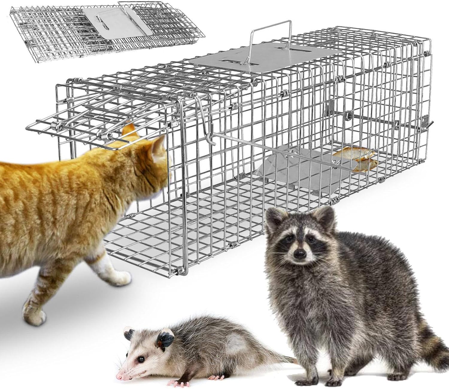 Humane Live Animal Cage Trap for Rabbits, Cats, and More