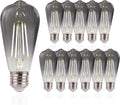 FLSNT LED Edison Bulbs ST19 5000K Smoky Grey Glass - Dimmable Accent