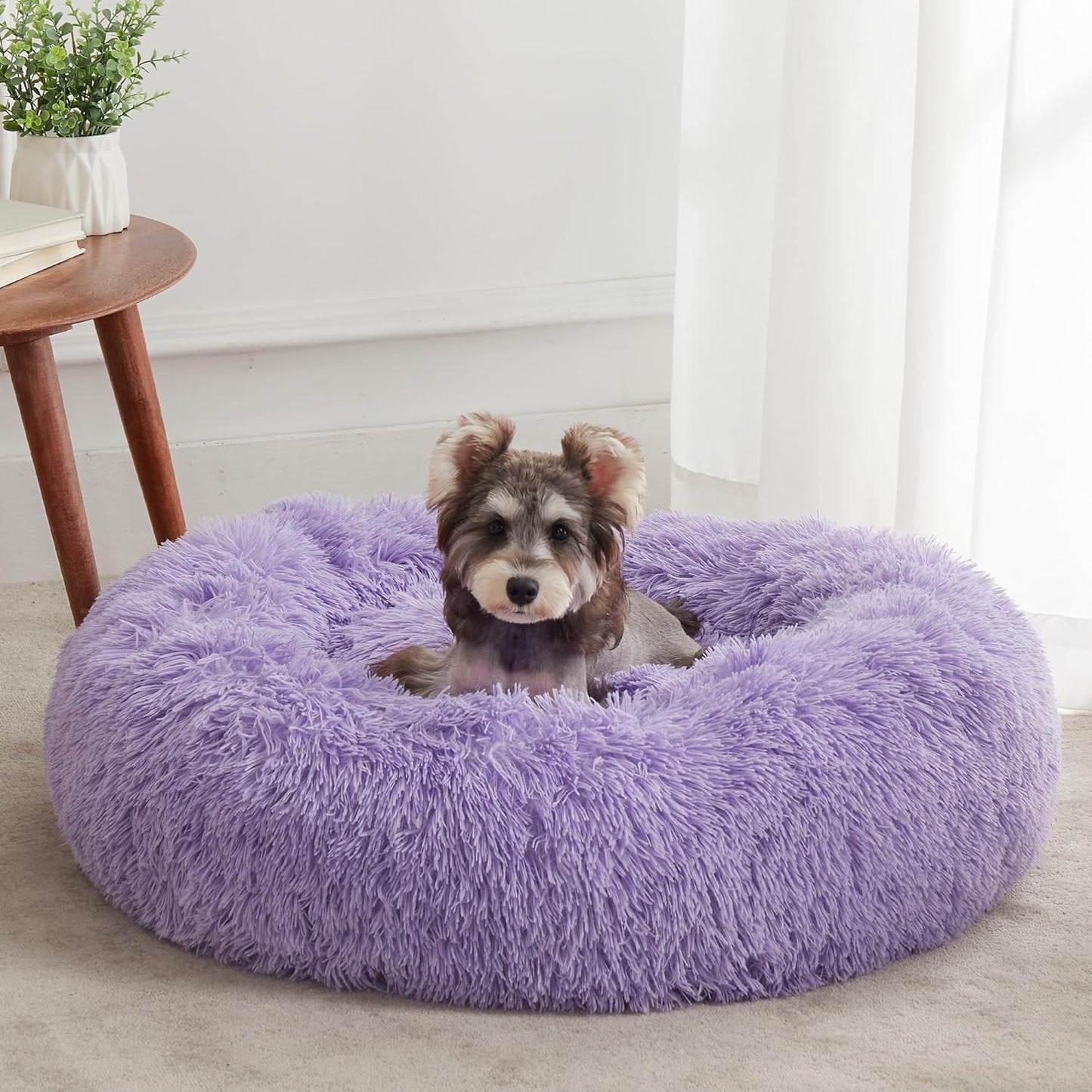 Calming Dog Bed & Cat Bed for Small Medium Pets - Cozy Comfort