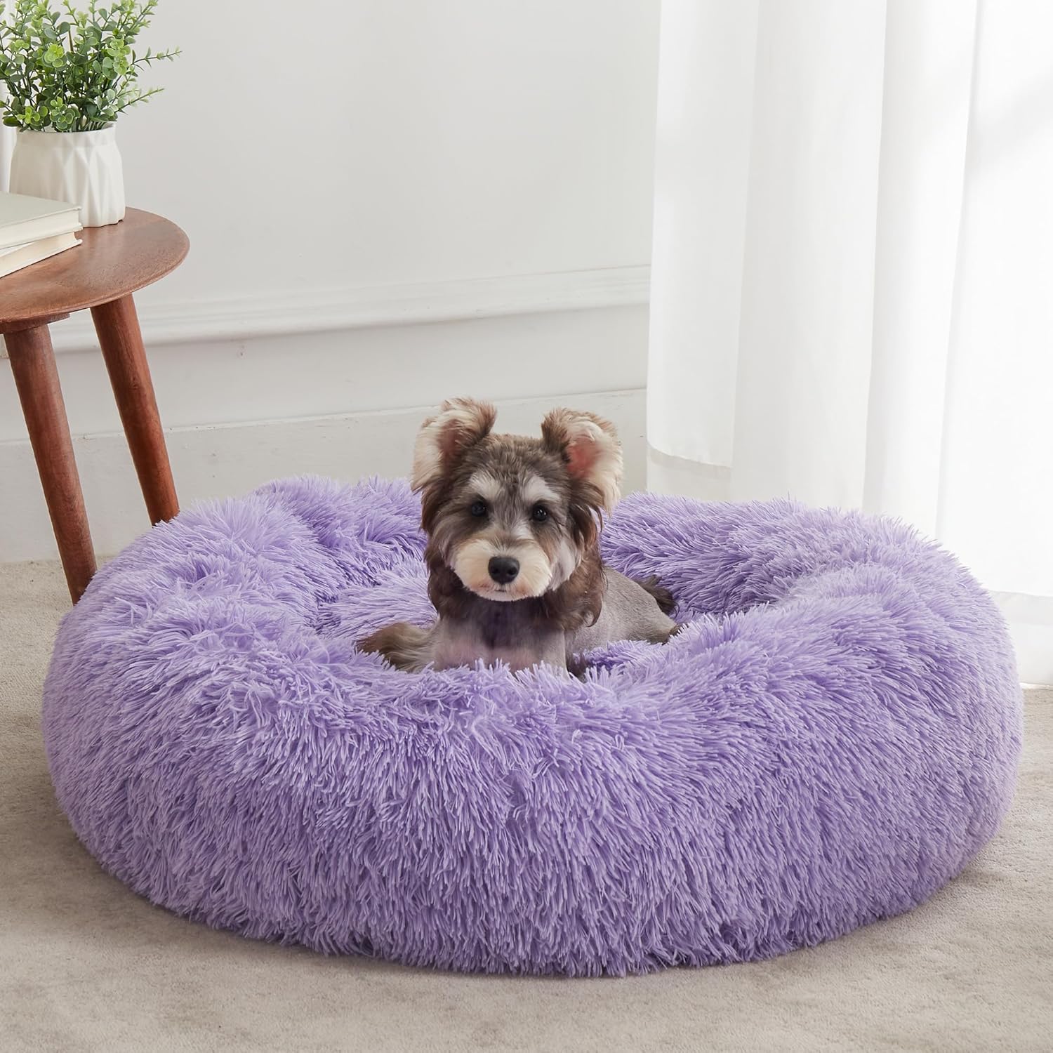Calming Dog Bed & Cat Bed for Small Medium Pets - Cozy Comfort