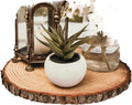 Set of 6 Large Wood Slices (10-12) Natural Rustic Wood Centerpieces