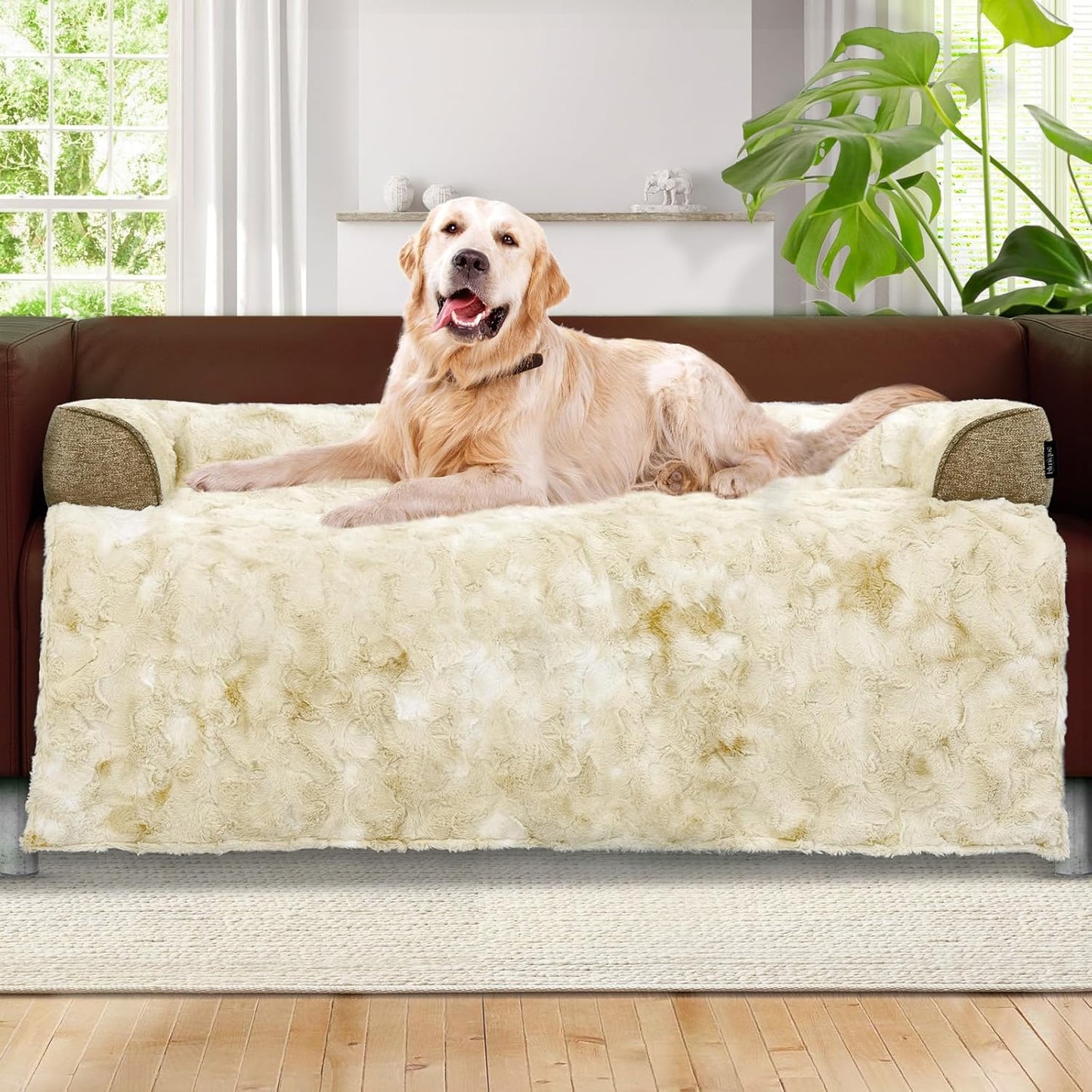 Calming Extra Large Dog Couch Bed for Ultimate Pet Comfort