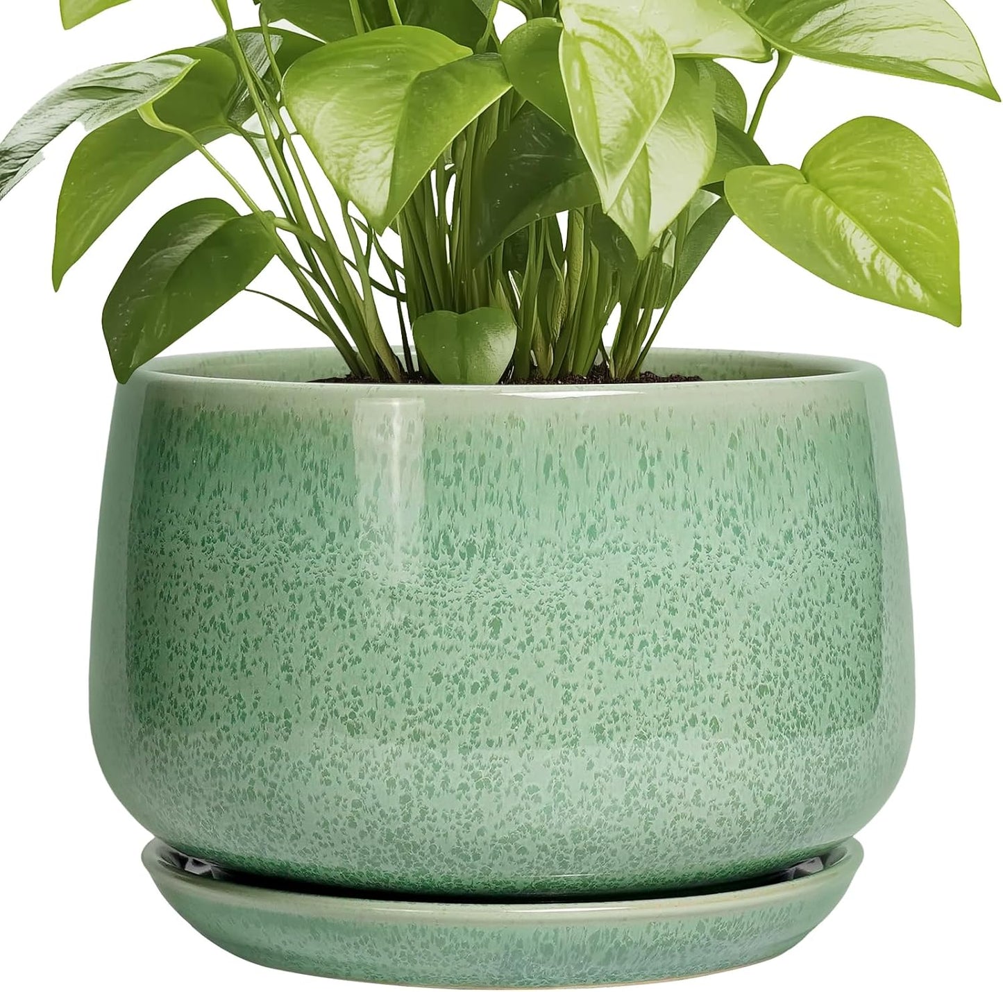 G EPGardening 9 Inch Ceramic Planter with Drainage and Saucer