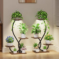 Indoor Plant Stand with Grow Lights - 2 Pack Decorative Shelves