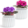 6 inch Self Watering Pot for Indoor Plants - 21 Day Care