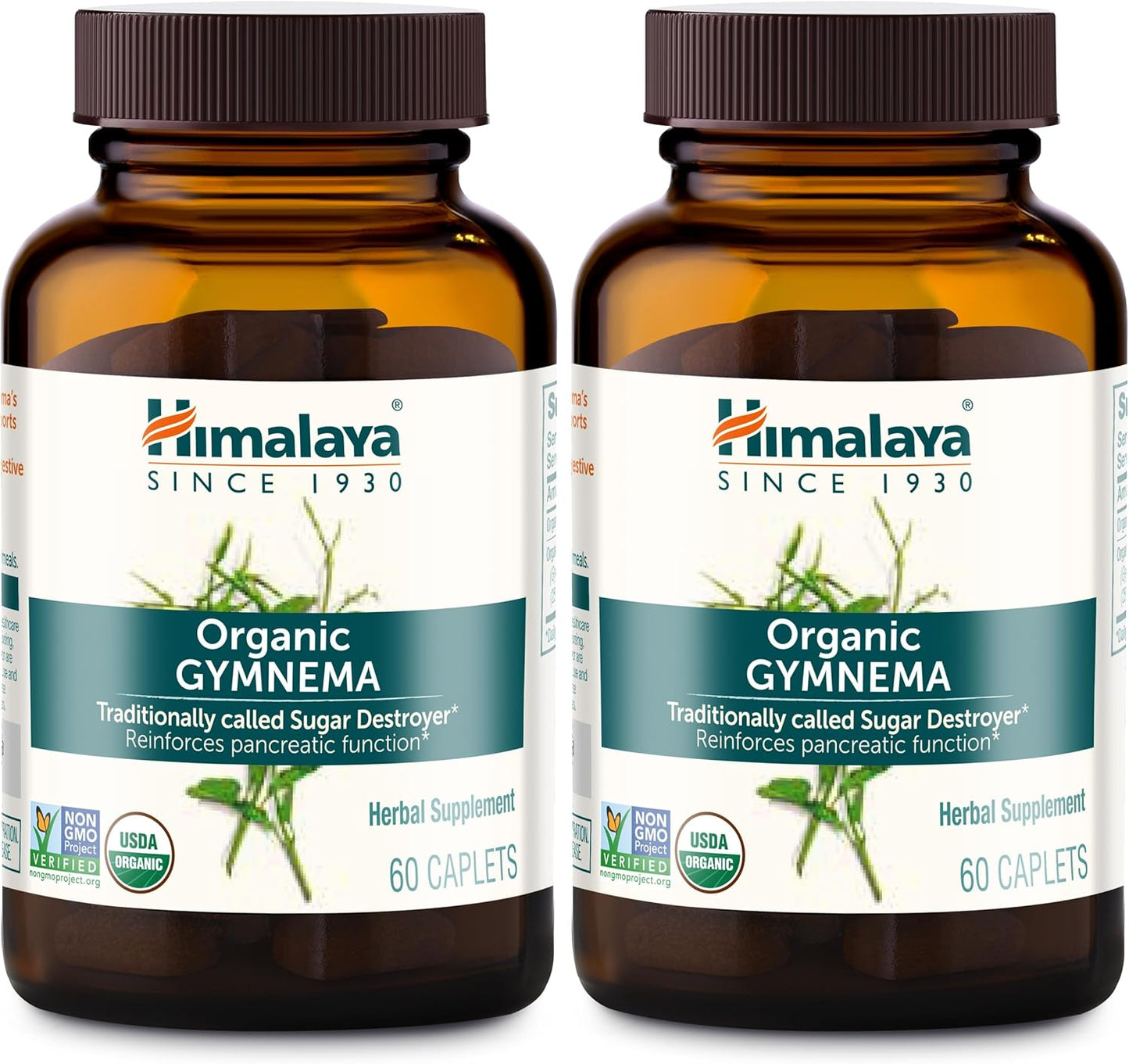 Himalaya Organic Gymnema Sylvestre for Glucose Metabolism Support