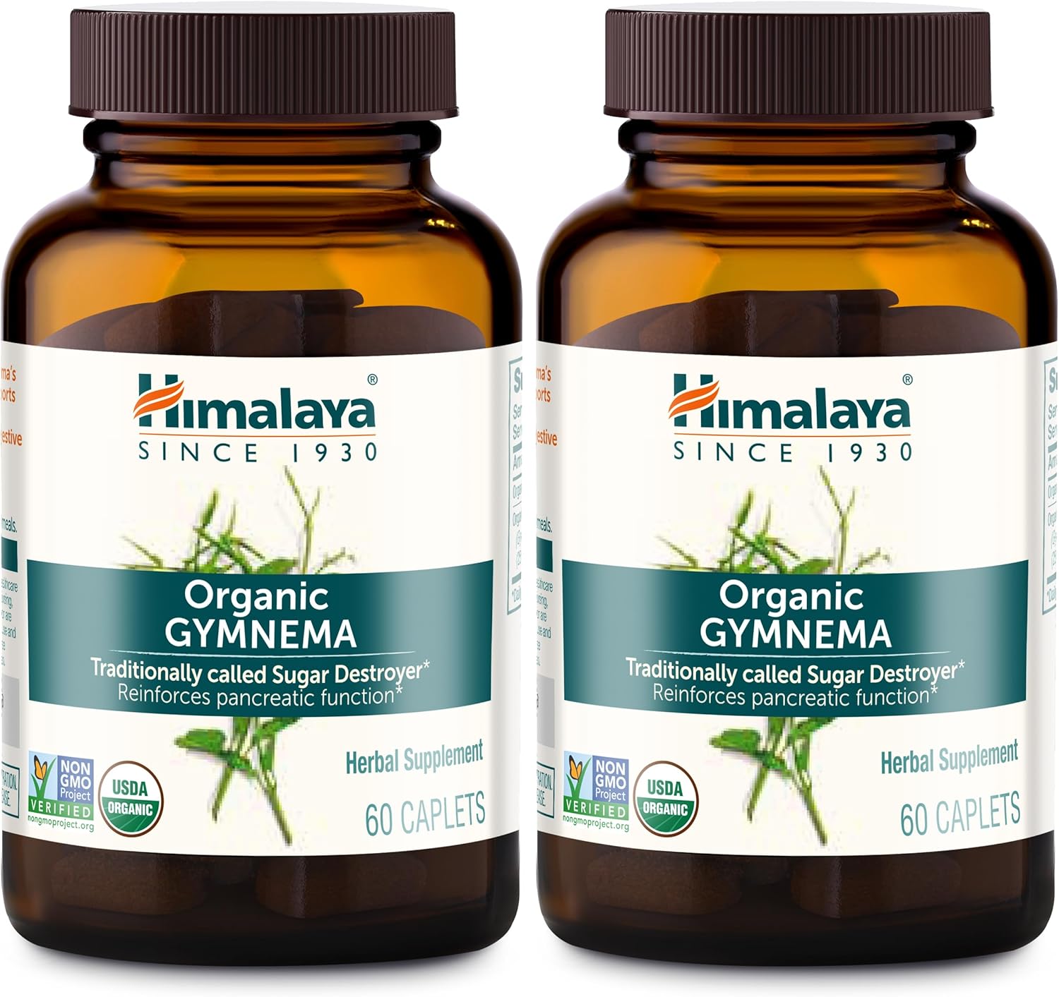 Himalaya Organic Gymnema Sylvestre for Glucose Metabolism Support