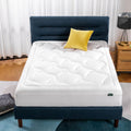 ZINUS 10 Inch Cloud Memory Foam Mattress, King - Plush, Fiberglass
