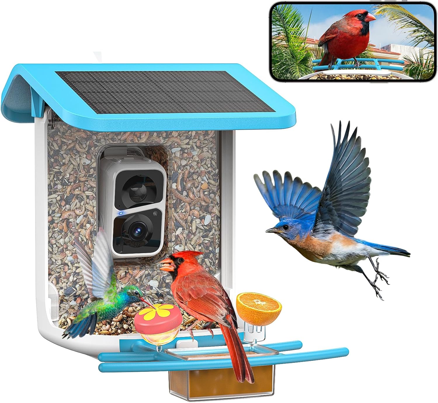 Smart Bird Feeder Camera: AI Recognition, Solar Powered
