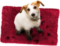 Cranberry Large 26 x 36 Doormat - Ultra Absorbent Microfiber Chenille