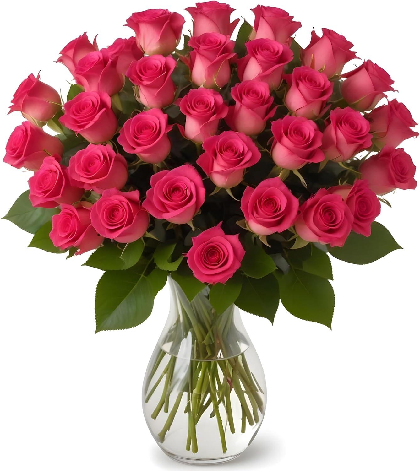 25 Hot Pink Roses in Elegant Vase for Special Occasions