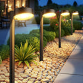 12 Pack Solar Pathway Lights Outdoor - Bright 12 LED Warm 3500K