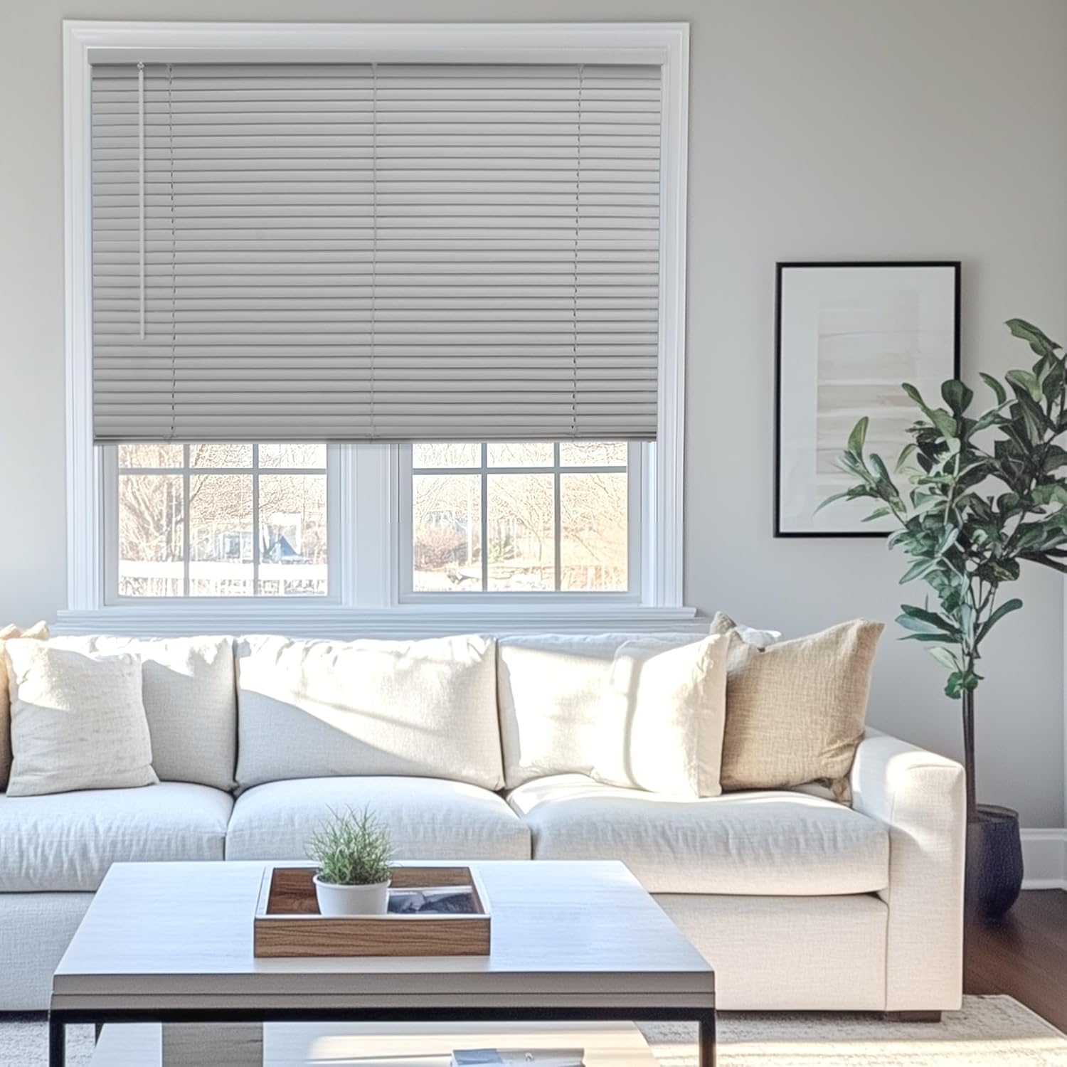 Chicology Mini Blinds for Indoor Windows - Cordless Vinyl Blinds