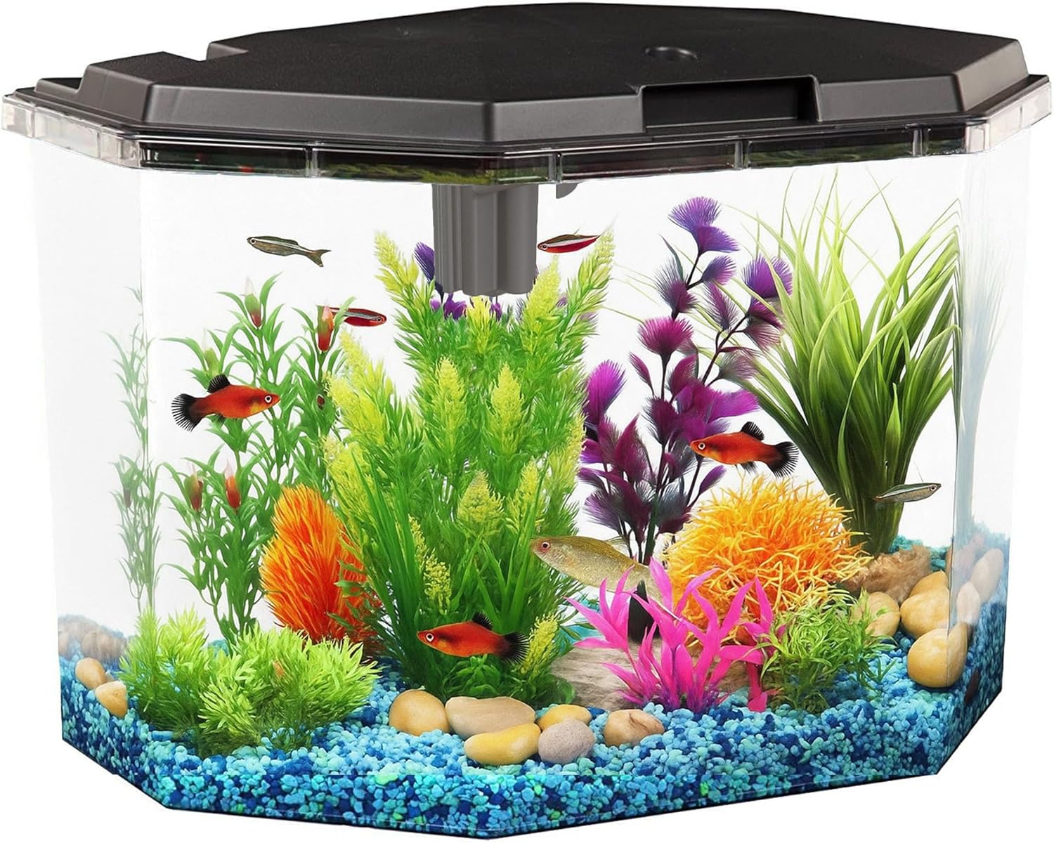 Koller Products 6.5-Gallon Aquarium Kit with LED Lighting