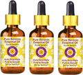 Pure Benzoin Essential Oil by Deve Herbes - 100ml Pack of Three