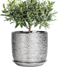 Ceramic Pot for Plants 8 Inch - Simple Durable Indoor Planter