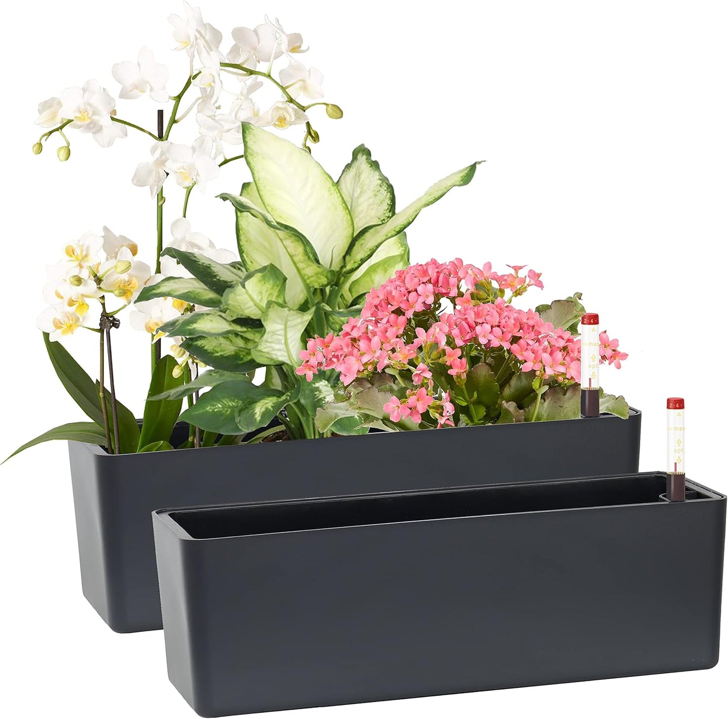 GardenBasix Elongated Self Watering Planter Pots for Home Use