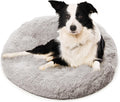 Active Pets Medium Dog Bed - Calming Orthopedic Comfort for Dogs