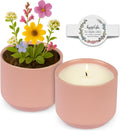 Hyggelight The Growing Candle - Mint & Eucalyptus Scented 8oz