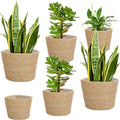 Seagrass Planter Baskets 6 Pcs Set - Lined Rustic Plant Covers