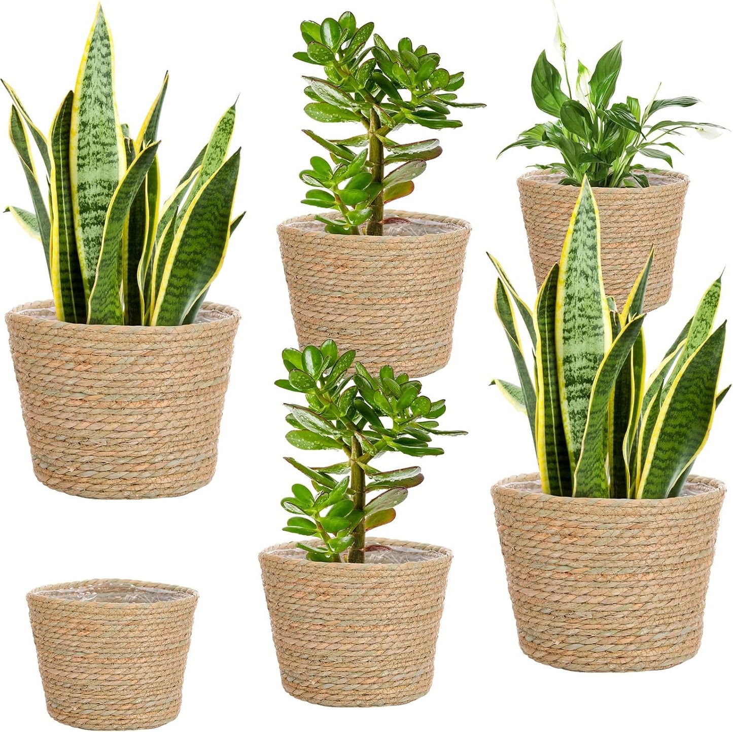 Mumufy Seagrass Planter Basket Set for Indoor and Outdoor Use
