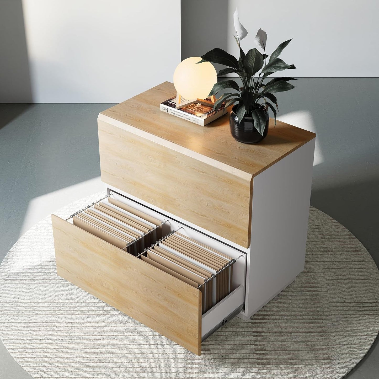 2 Drawer Lateral File Cabinet for Home Office Storage Needs