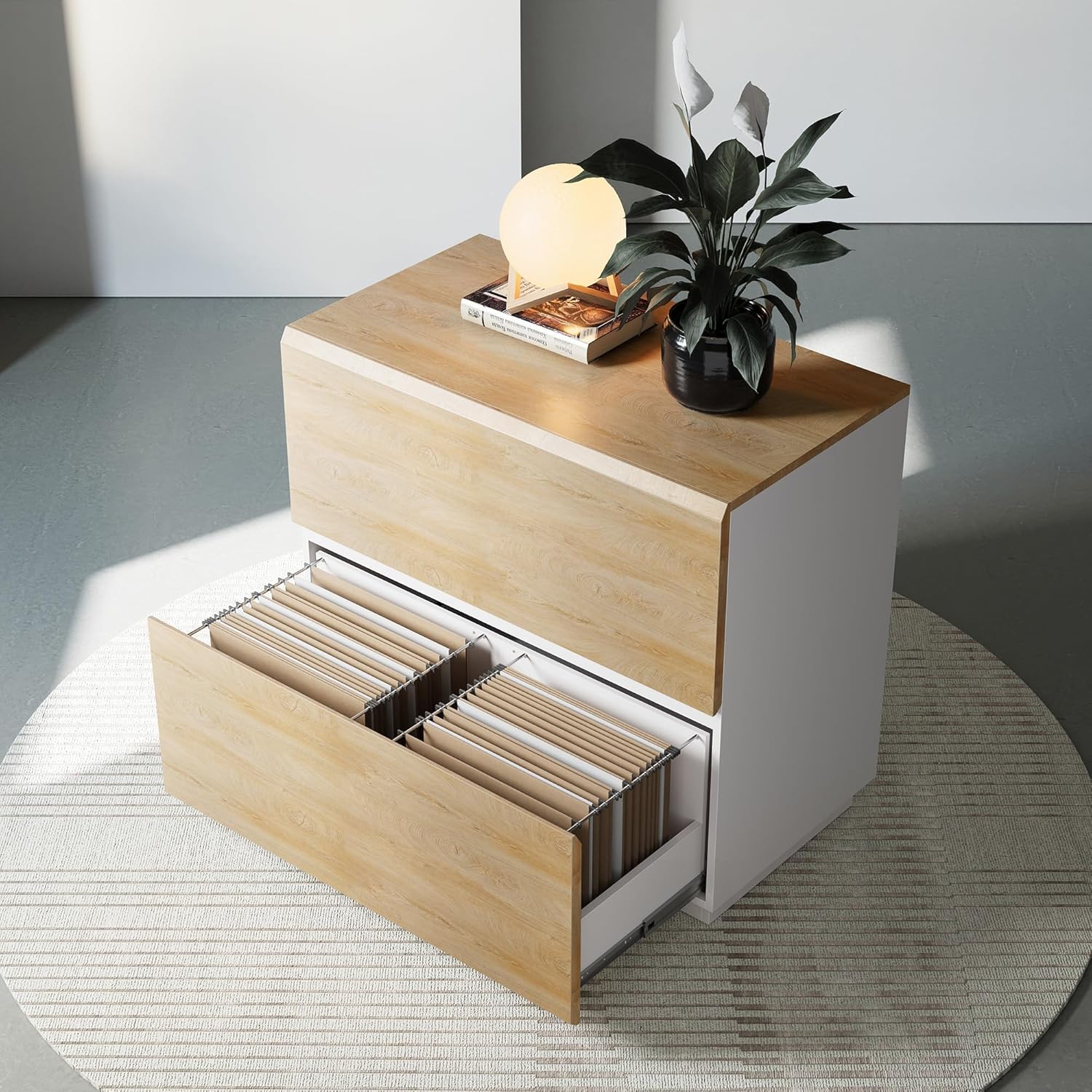 2 Drawer Lateral File Cabinet for Home Office Storage Needs