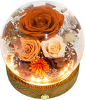 Valley of Rain & Forest Long-Lasting Real Flowers - Preserved Rose