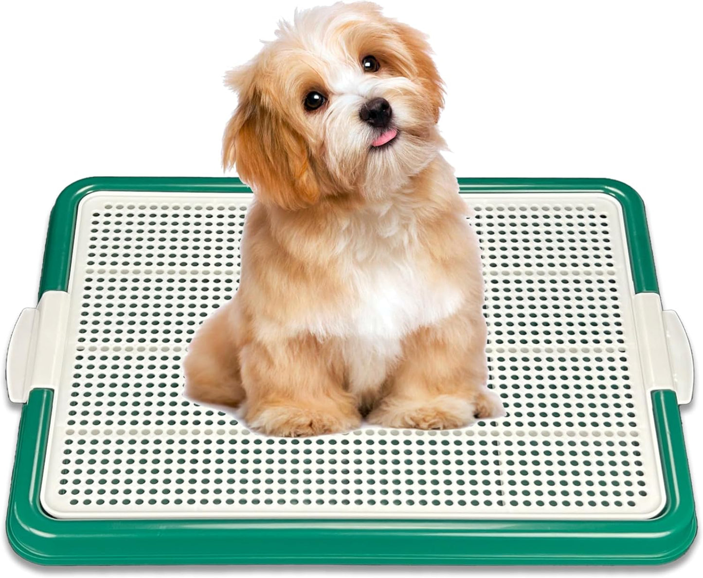 Dog Pee Pad Holder for Small Dogs - Easy Clean Potty Training Tray
