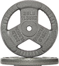 Cast Iron 1-Inch Standard Weight Plate 45 lb - Durable Gray Finish