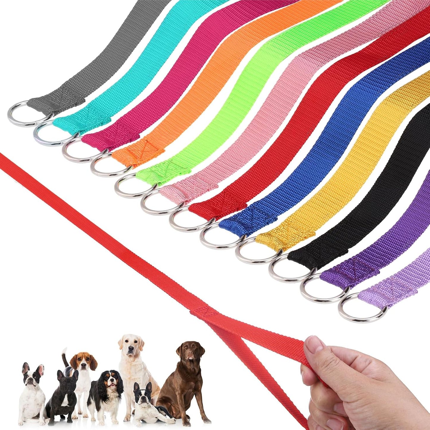 HOMIMP Slip Lead Dog Leash 6 FT - Perfect for Training and Rescue
