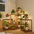 Bamworld Plant Stand with Grow Lights for Indoor Plants Display