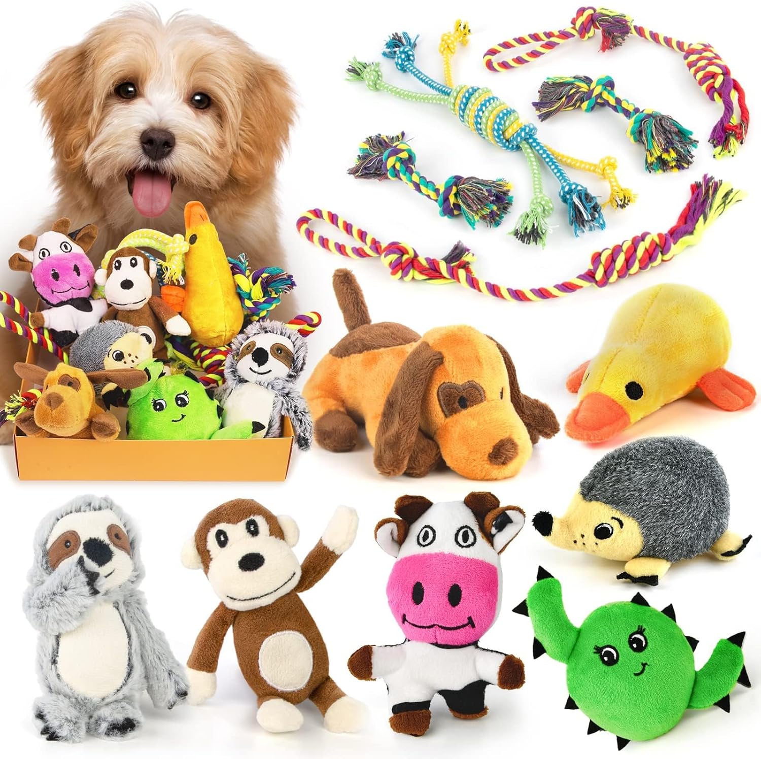 12 Pack Small Dog Squeaky Toys - Keep Your Puppy Busy!