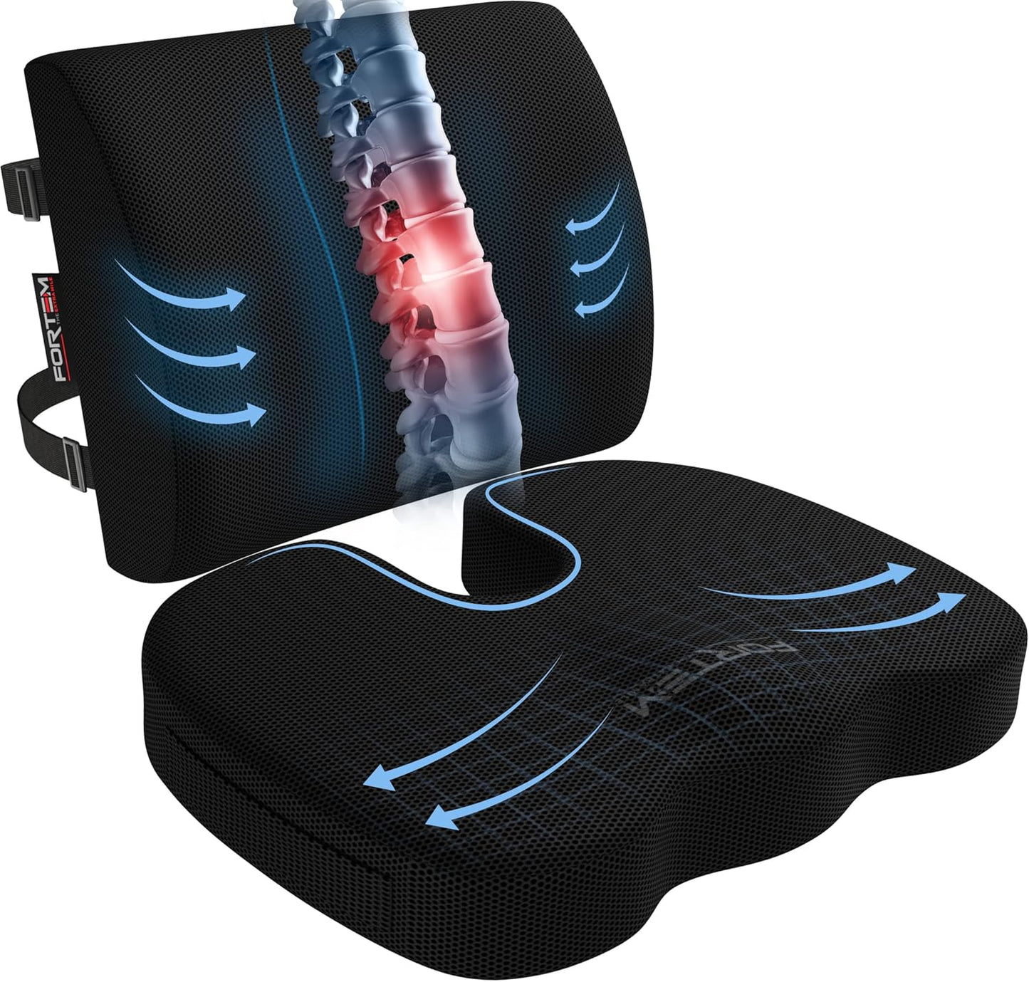 FORTEM Memory Foam Lumbar Support ~