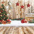 10x10FT Christmas Backdrop for Winter Snow and Family Parties