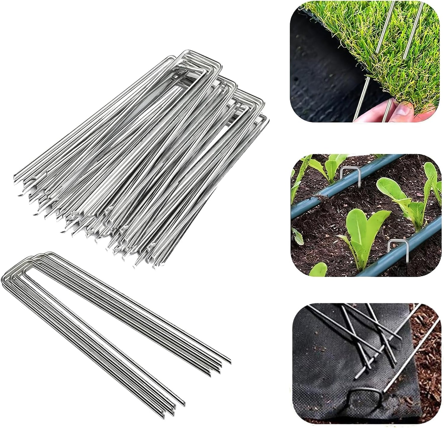 Anti-Rust 6 Garden Staples - 50 Pack