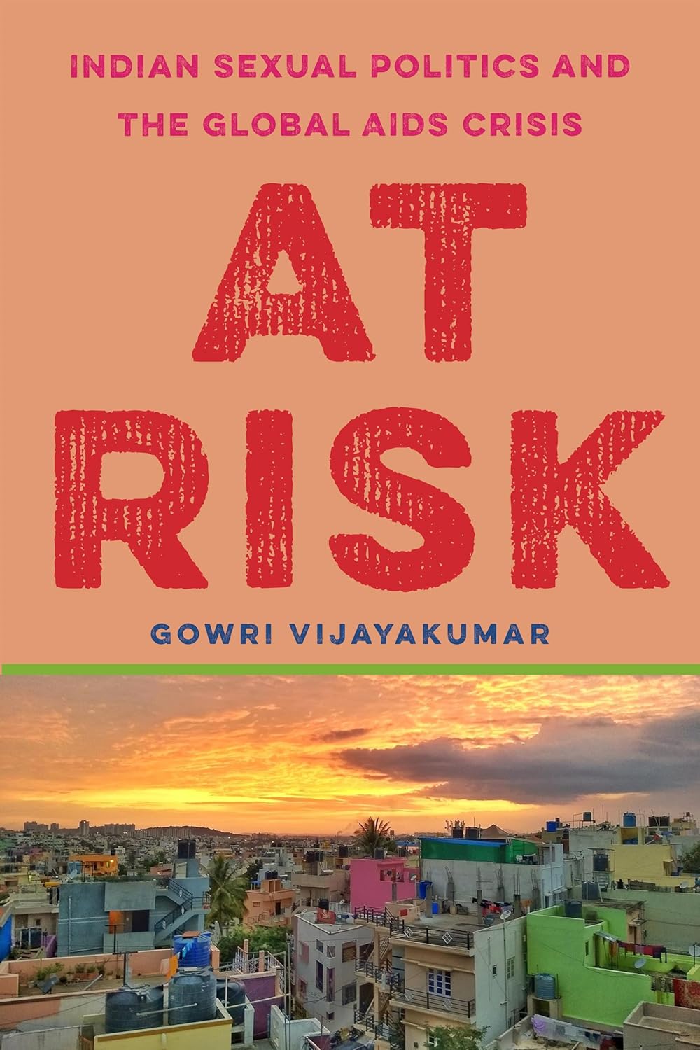 At Risk: Indian Sexual Politics and the Global AIDS Crisis Review