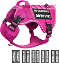Service Dog in Training Mesh Harness with 10 Patches - Breathable Vest