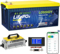 LOSSIGY 48V Lithium Golf Cart Battery with 18A Charger Review