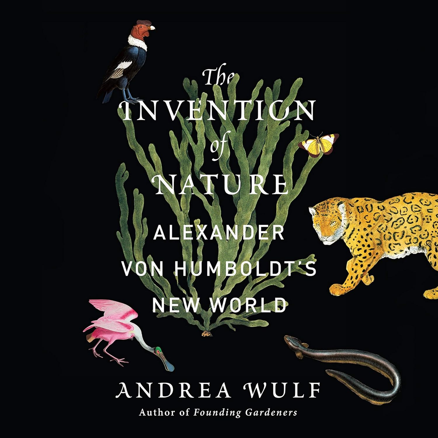 The Invention of Nature: Alexander von Humboldt's New World Review