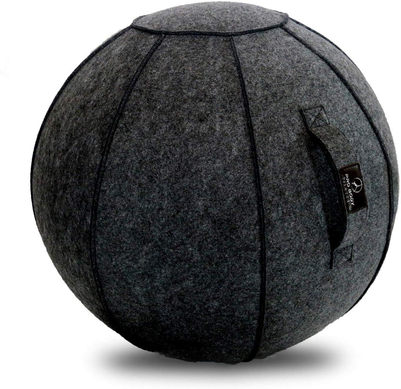Posture-Perfect Office Ball Chair by ProBody