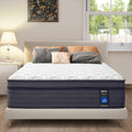 Queen Mattresses 12 in Hybrid Queen Size Mattress - Medium Firm