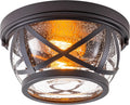 Bronze Flush Mount Ceiling Light Fixtures, 2-Light Seeded Glass