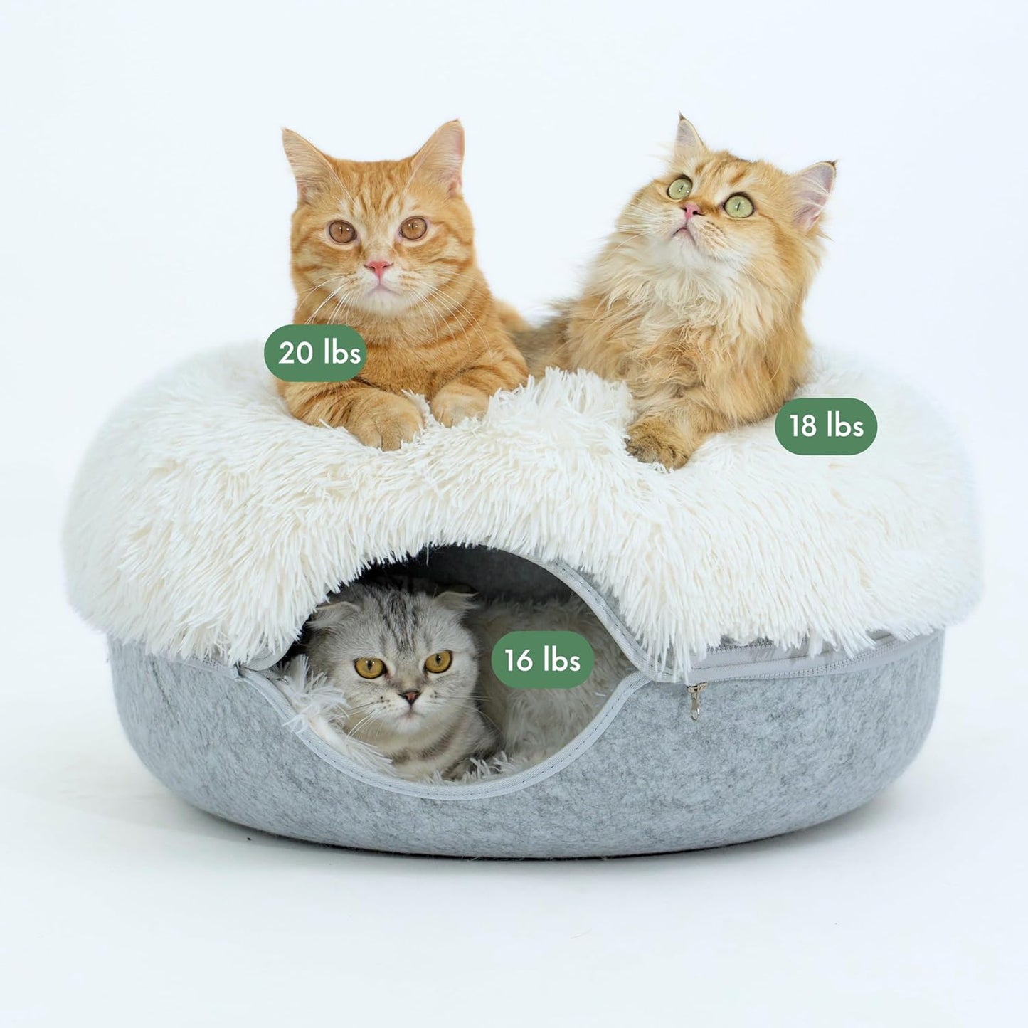 Cattasaurus Peekaboo Cat Cave for Large Cats & Multiple Pets