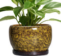 Ceramic Flower Pot 8 in Yellow Planter - Drainage & Saucer