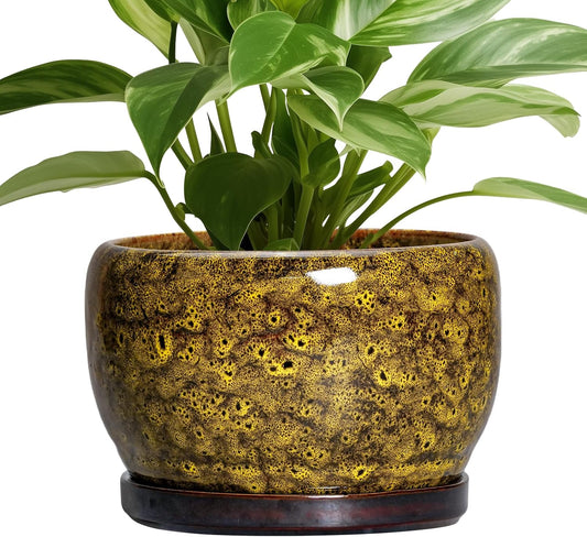 SQOWL Ceramic Flower Pots - 8 Inch Decorative Planter for Home