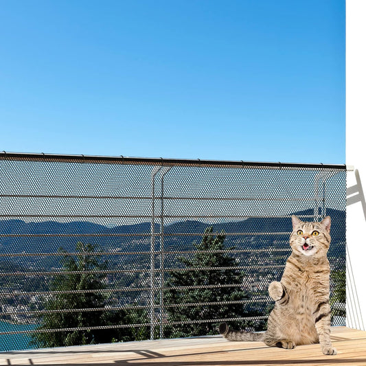 Protective Cat Balcony Netting: Anti-Fall Safety for Pets