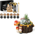 Smoking Owl Planter Set