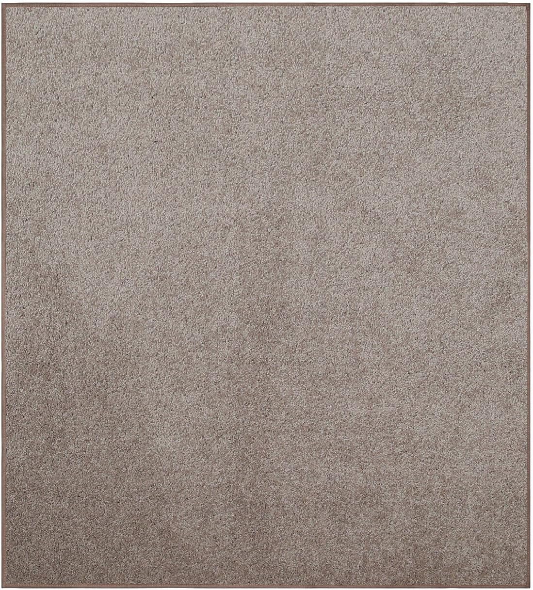 Ambiant Pet Friendly Solid Color Area Rugs for Every Room