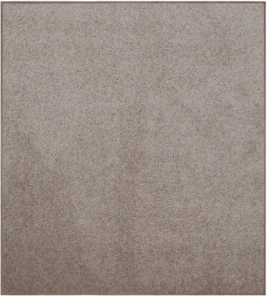 Ambiant Pet Friendly Solid Color Area Rugs for Modern Homes